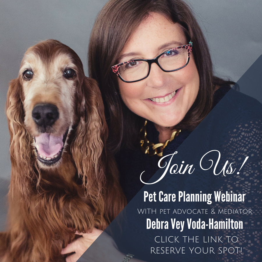 Spring Has Sprung – Does Your Pet Have A MAAP Plan?