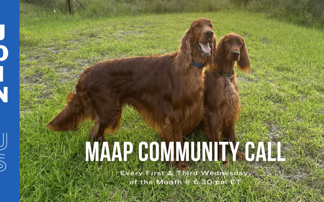 MAAP Plan – Navigating the Journey Your Pet Takes When You Can’t Care For It