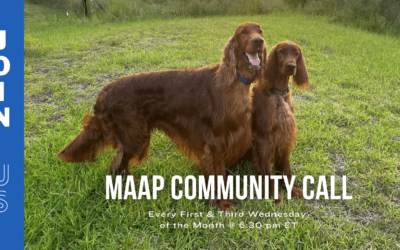 MAAP Plan – Navigating the Journey Your Pet Takes When You Can’t Care For It