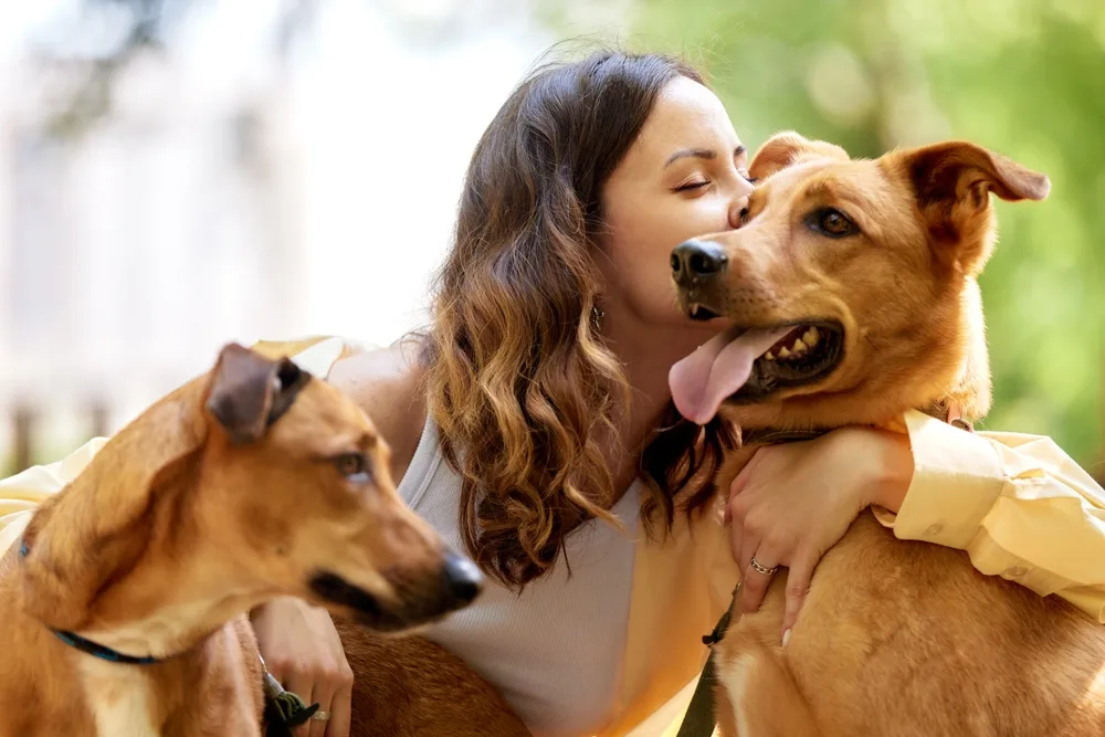 A young woman affectionately embracing two large dogs in a sunny outdoor setting, illustrating the close bond between pets and owners while highlighting the importance of responsible handling - Dog Attack Legal Advice