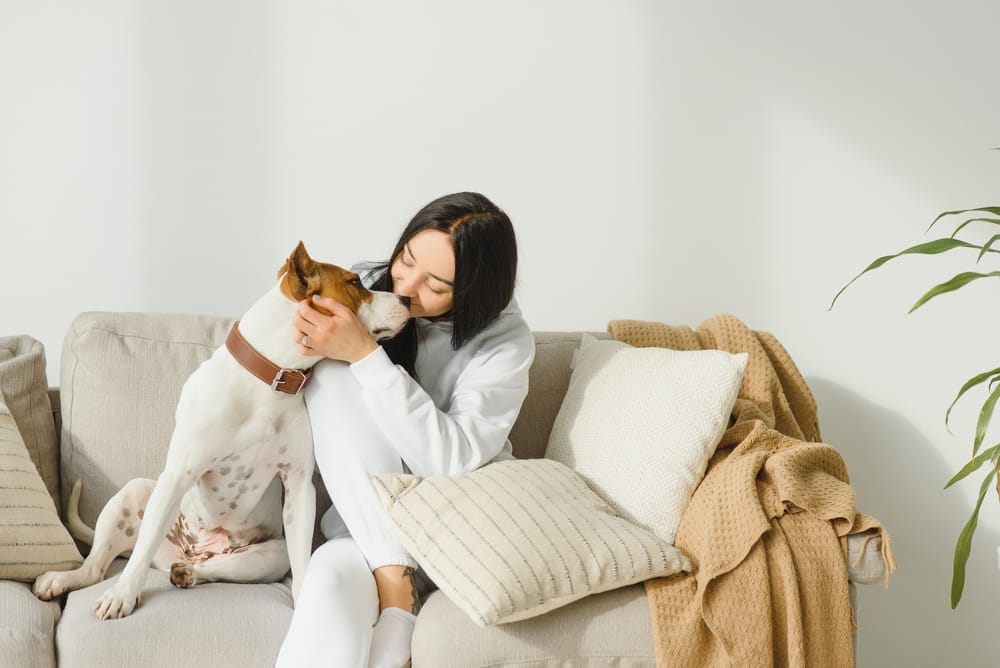 A woman in white lounge clothes affectionately embraces her dog on a beige couch surrounded by pillows and a blanket, symbolizing the emotional value of pets in legal matters - Pet Legal Advice